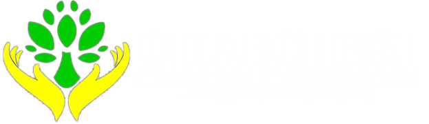 Ohaechesi Charitable Foundation - Empowering Communities and Changing Lives